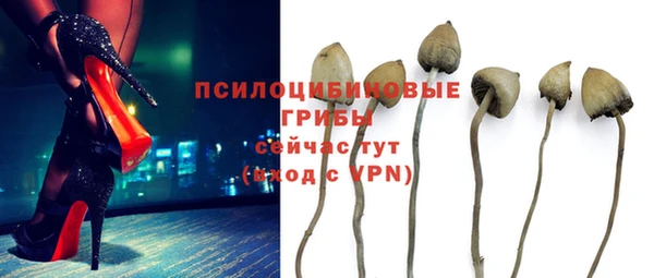 кокс Алексеевка