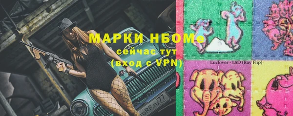 шишки Алзамай