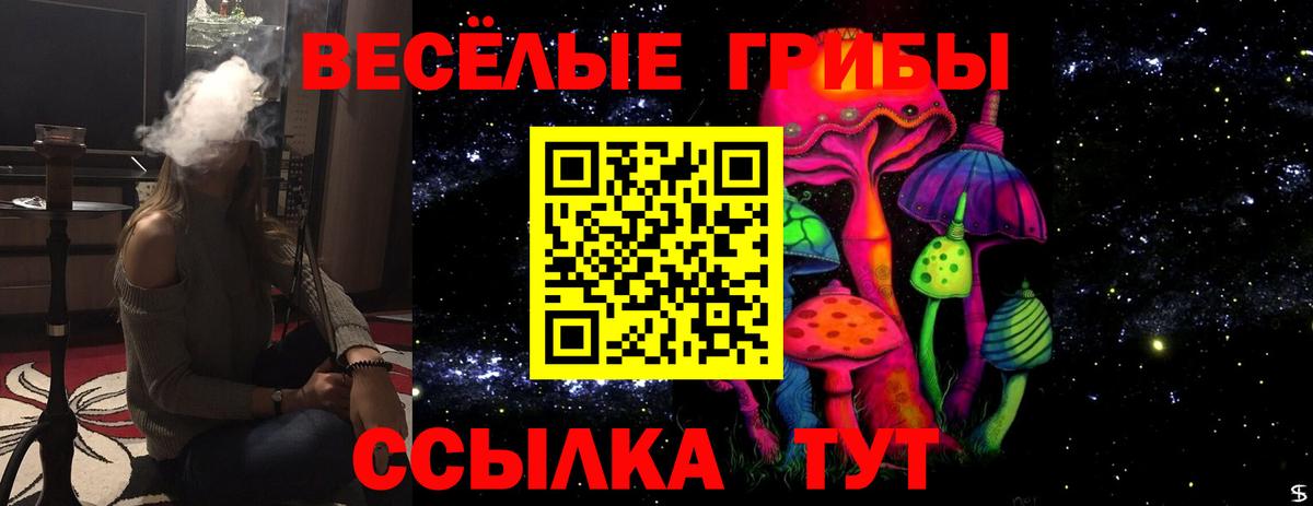 Галлюциногенные грибы Magic Shrooms Красногорск